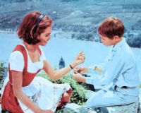 An der Donau, wenn der Wein blüht (1965)
