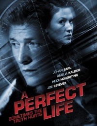 A Perfect Life (2010)