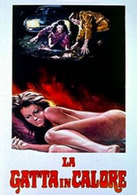 La gatta in calore (1972)