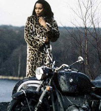Gaffe Loulou! (1999)