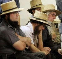 Trouble in Amish Paradise (2009)