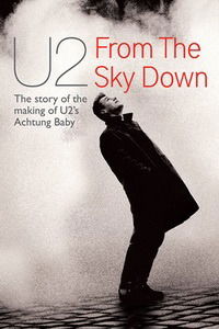 From the Sky Down (2011)