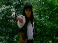 Commando Fury