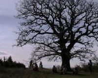 Les chants de Mandrin (2011)