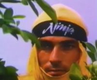 Ninja Knight Brothers of Blood (1988)