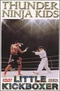Little Kickboxer