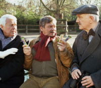 Fliege kehrt zurück (2003)