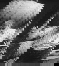 Helleveeg (1920)