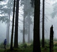 Dreileben - Eine Minute Dunkel (2011)