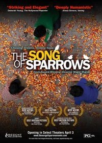 Song of Sparrows