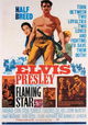 Flaming Star