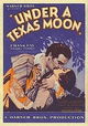 Under a Texas Moon