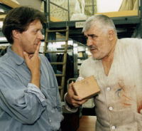 Bauernschach (1995)