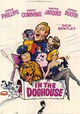 In the Doghouse