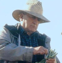 Finding the Way Home (1991)