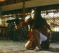 Shi wu yi sha ren wang luo (1997)