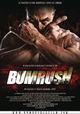 Bumrush
