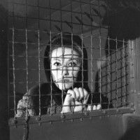 I stefania (1966)