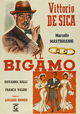 Il bigamo