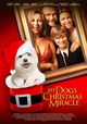 My Dog's Christmas Miracle