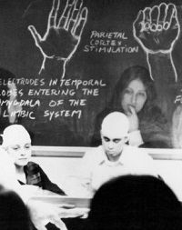 Vortex (1982)