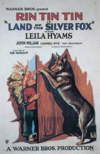 Land of the Silver Fox (1928)