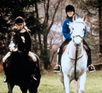 Villhesten (1994)