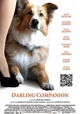 Darling Companion