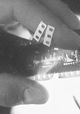 Archipels nitrate