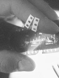 Archipels nitrate (2009)