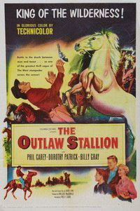 The Outlaw Stallion