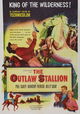 The Outlaw Stallion