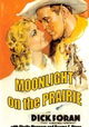 Moonlight on the Prairie