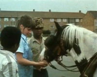 A Horse Called Jester (1979)