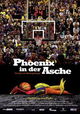 Phoenix in der Asche