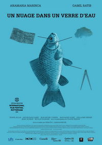 Un nuage dans un verre d'eau (2012)