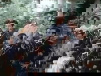 Side by Side: The True Story of the Osmond Family (1982)