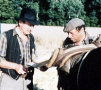Les feux de la Saint-Jean (1996)