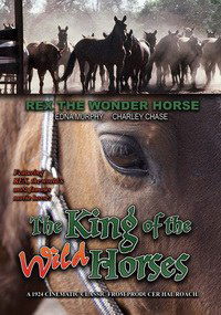 The King of the Wild Horses (1924)