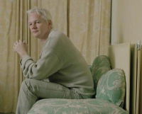 True Stories: Wikileaks - Secrets and Lies