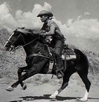 The Arizona Cowboy (1950)