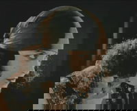 The Spanish Dancer (1923)