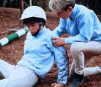 The Rogue Stallion (1990)
