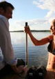 Seerosensommer