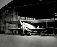 Le mystère de l'oiseau blanc