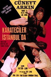 Karateciler istanbulda (1974)