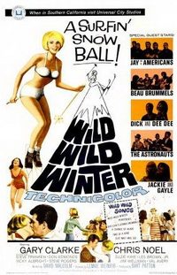 Wild Wild Winter (1966)
