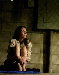 From the Shadows (2009)