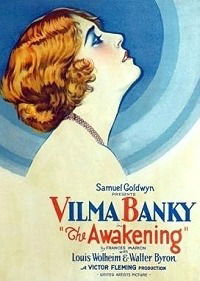 Het ontwaken (1928)