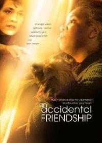 Accidental Friendship (2008)